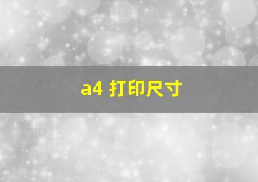 a4 打印尺寸